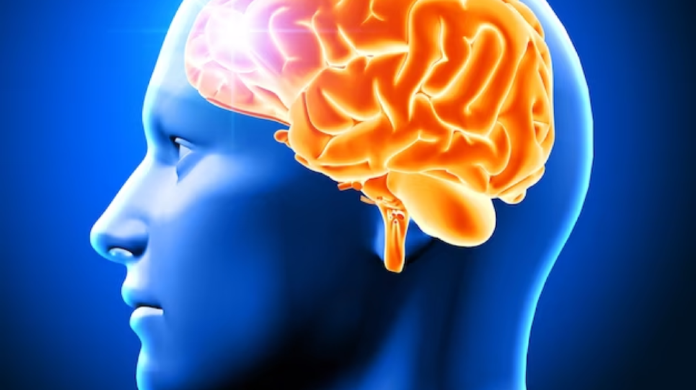 Neurology Hospital